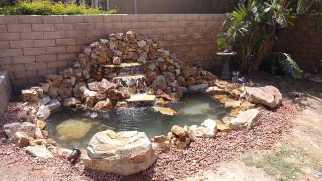 Simi Koi Pond Photo Gallery