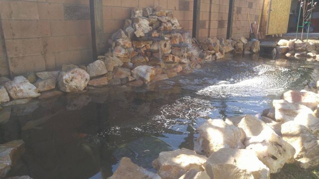 Simi Koi Pond Photo Gallery